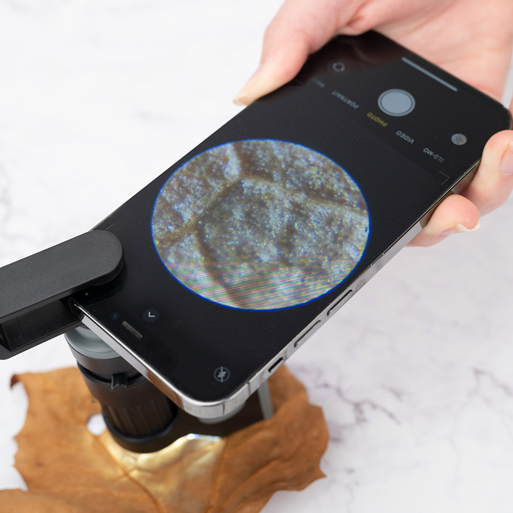 Carson Handmicroscoop MM-350 MicroBrite Plus 60-120x met Smartphone Adapter - Afbeelding 2