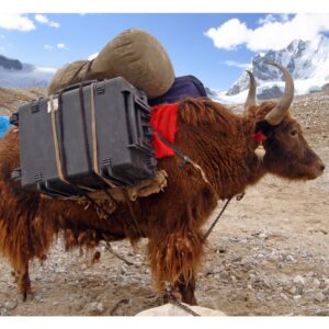 Explorer Cases 4820HL Koffer Zwart met Plukschuim - Afbeelding 4