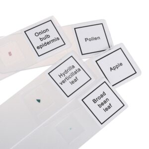 Byomic Beginners Microscoopset 100, 400 en 900x in Koffer - Afbeelding 8