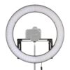 Falcon Eyes Bi-Color LED Ringlamp Dimbaar DVR-512DVC op 230V