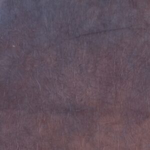 Falcon Eyes Achtergronddoek S122 2,9x7 m - Afbeelding 4