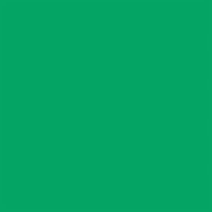 Falcon Eyes Achtergrondpapier 46 Chroma Green 2,18 x 11 m