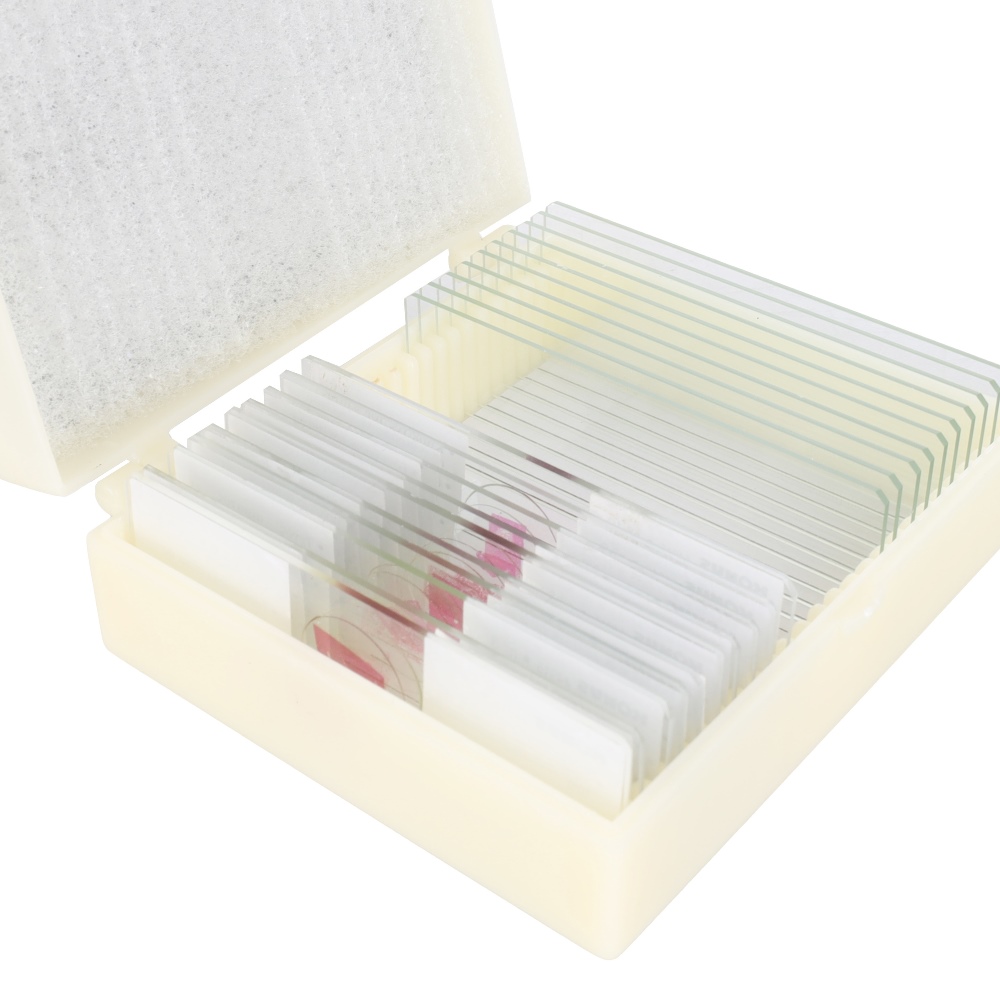 Konus Preparaten Set Pathologisch Menselijk Weefsel 2 (10 Stuks) - Afbeelding 2