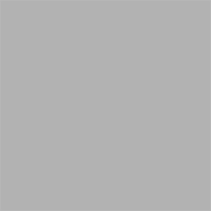Superior Achtergrondpapier 72 Fossil Gray 1,35 x 11m - Afbeelding 2