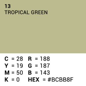 Superior Achtergrondpapier 13 Tropical Green 2,72 x 11m - Afbeelding 5