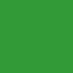 Superior Achtergrondpapier 54 Stinger Chroma Key 2,72 x 11m - Afbeelding 2