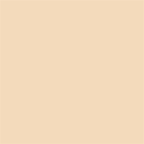 Superior Achtergrondpapier 64 Fawn 2,72 x 11m - Afbeelding 2
