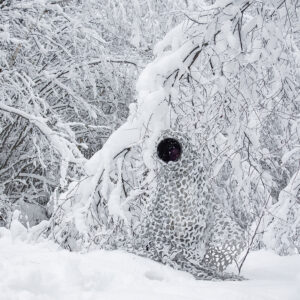 Buteo Photo Gear 3D leafs Camouflagenet Sneeuw 1,5x3 m - Afbeelding 4