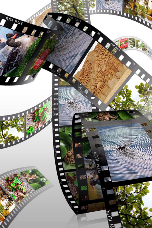 Fotoservice Artifoto Veenendaal