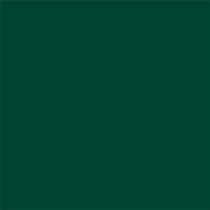 Alternative view of Superior Achtergrondpapier 12 Deep Green 2,72 x 11m