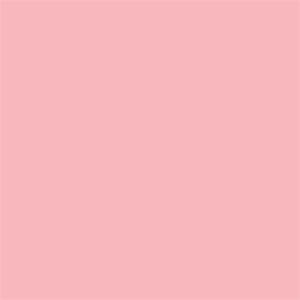 Alternative view of Superior Achtergrondpapier 17 Carnation Pink 2,72 x 11m