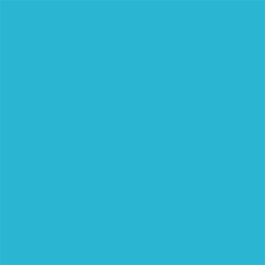 Alternative view of Superior Achtergrondpapier 60 Wedgewood 1,35 x 11m