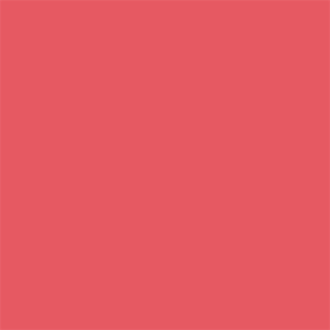 Alternative view of Superior Achtergrondpapier 91 Watermelon 2,72 x 11m